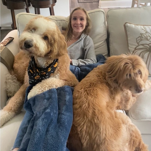 Meet your Posher, Shea - Picture 1 of 2